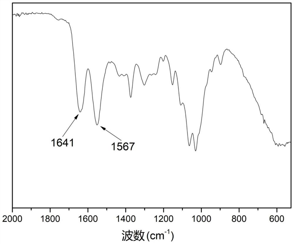 Chitosan hydrogel as well as preparation method and application thereof