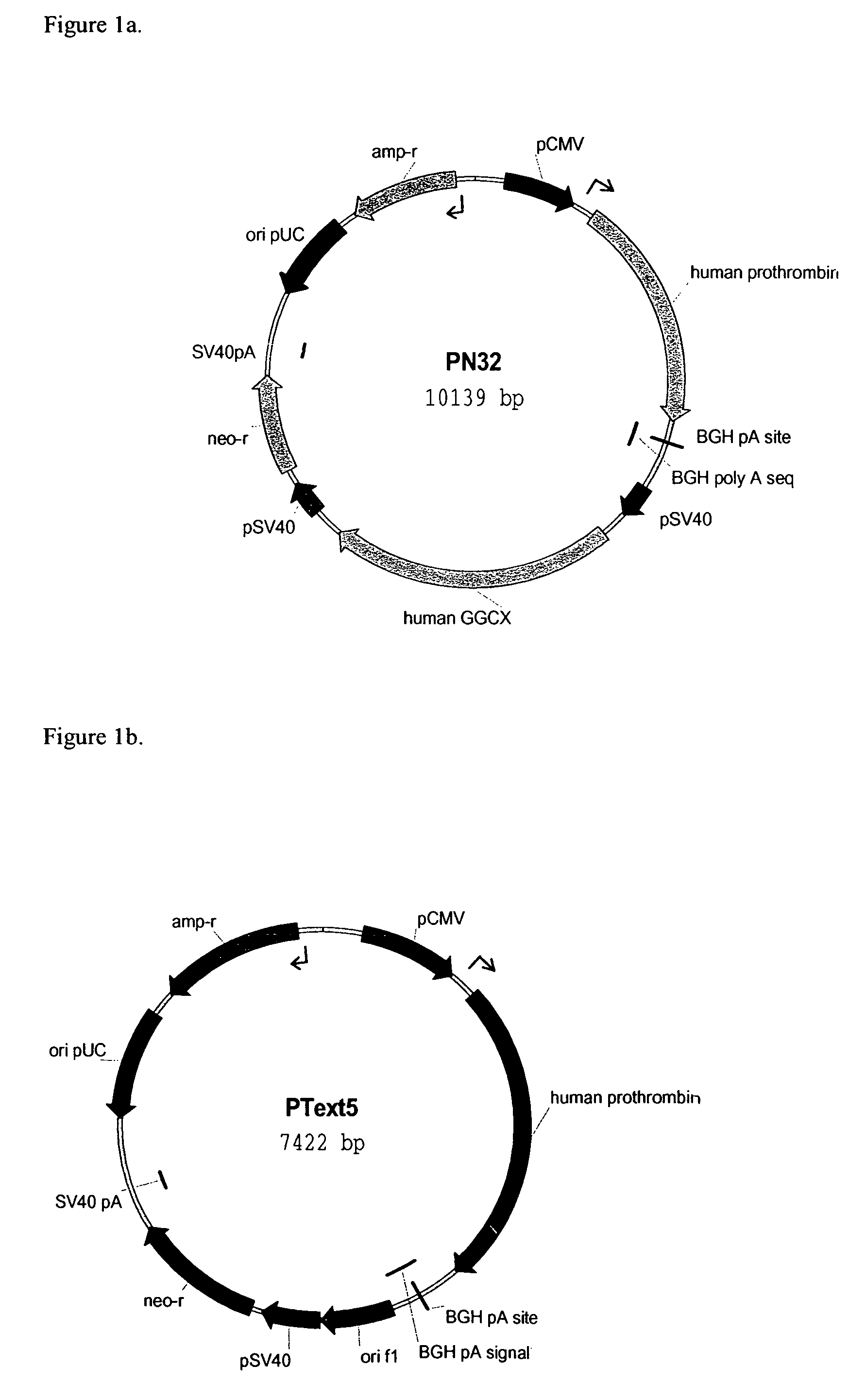 Methods for producing gamma-carboxylated proteins