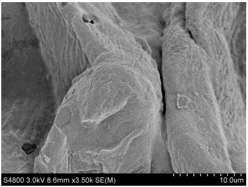 Tartarian buckwheat shell with formaldehyde-removing function and preparation method thereof