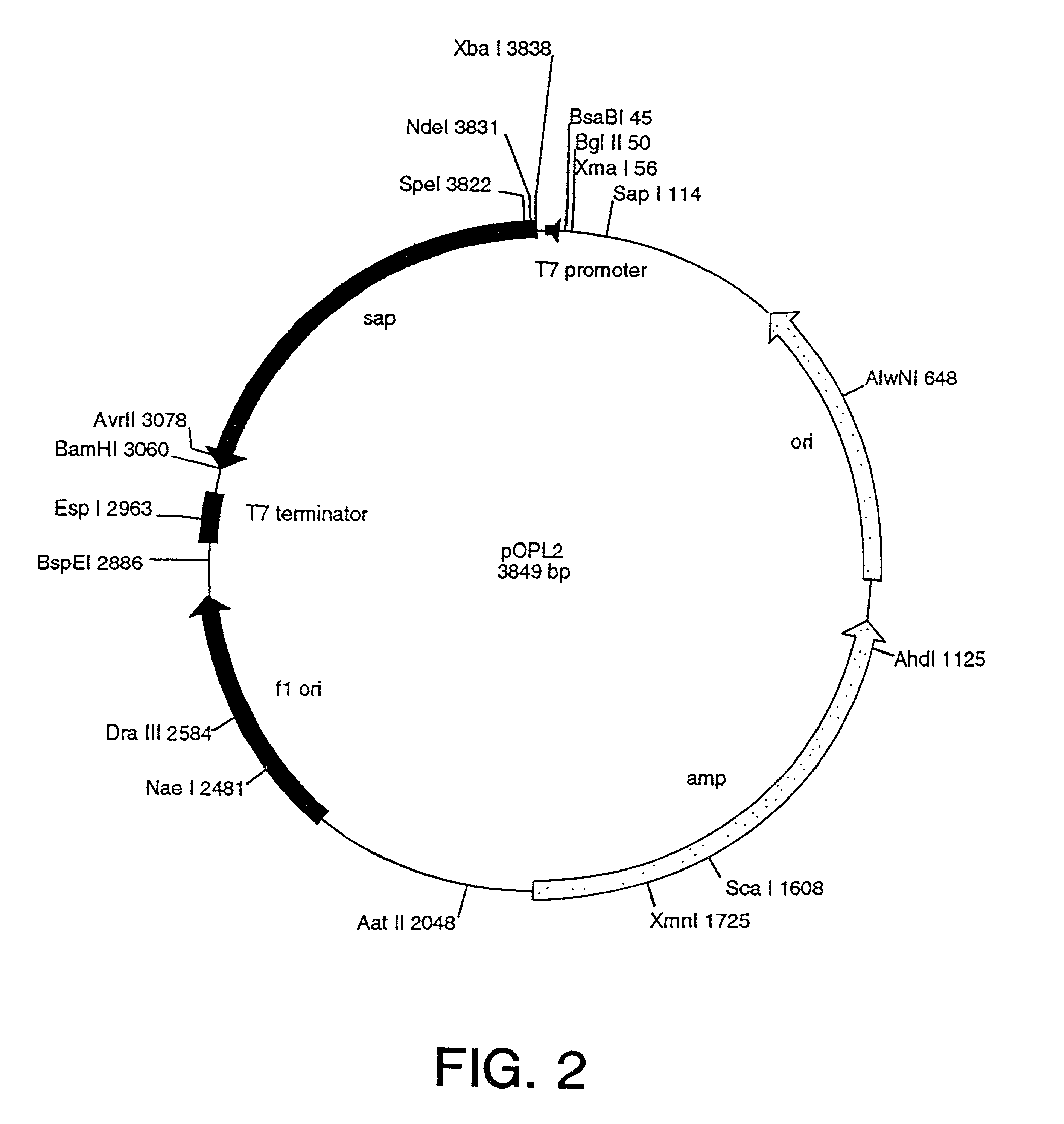 Nucleic acid molecules encoding cytotoxic conjugates that contain a chemokine receptor targeting agent