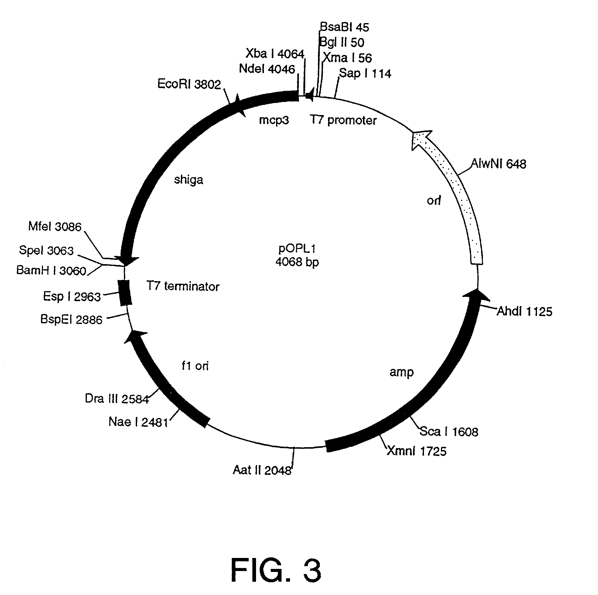 Nucleic acid molecules encoding cytotoxic conjugates that contain a chemokine receptor targeting agent