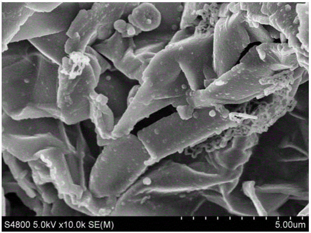 Preparing method of expanded graphite composite wrapped by crosslinking carbon fibers