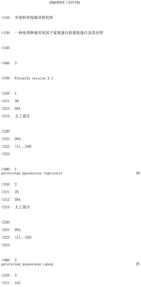 Recombinant protein of fish tumor necrosis factor family protein and application thereof