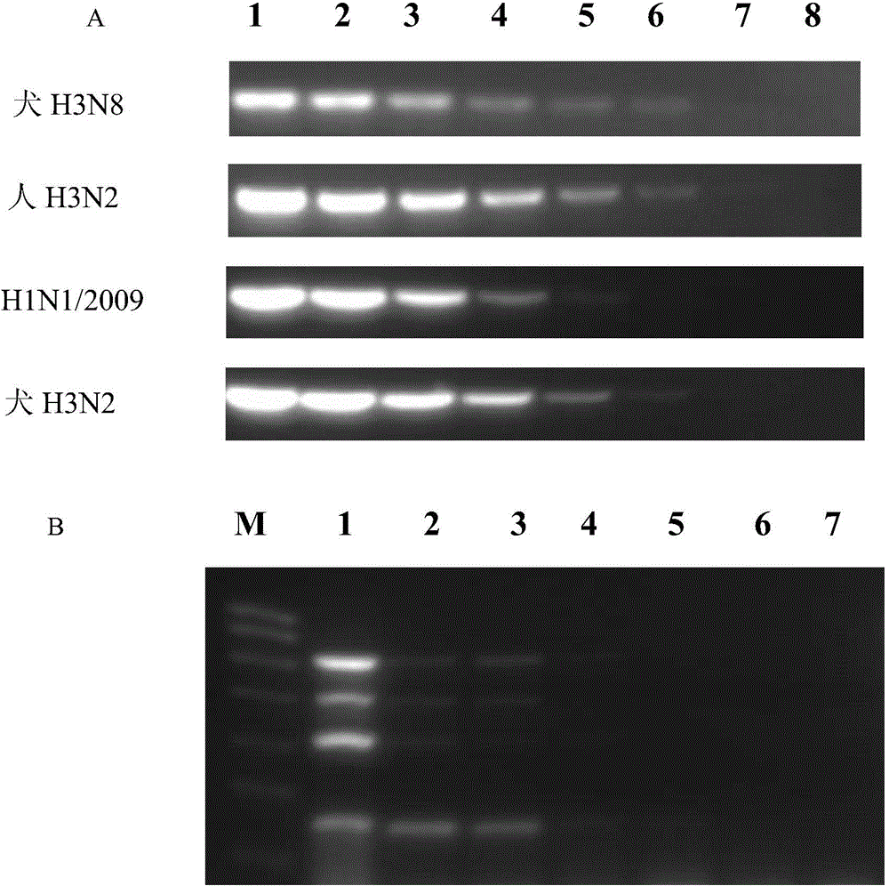 Primer composition for detecting different influenza viruses and application thereof