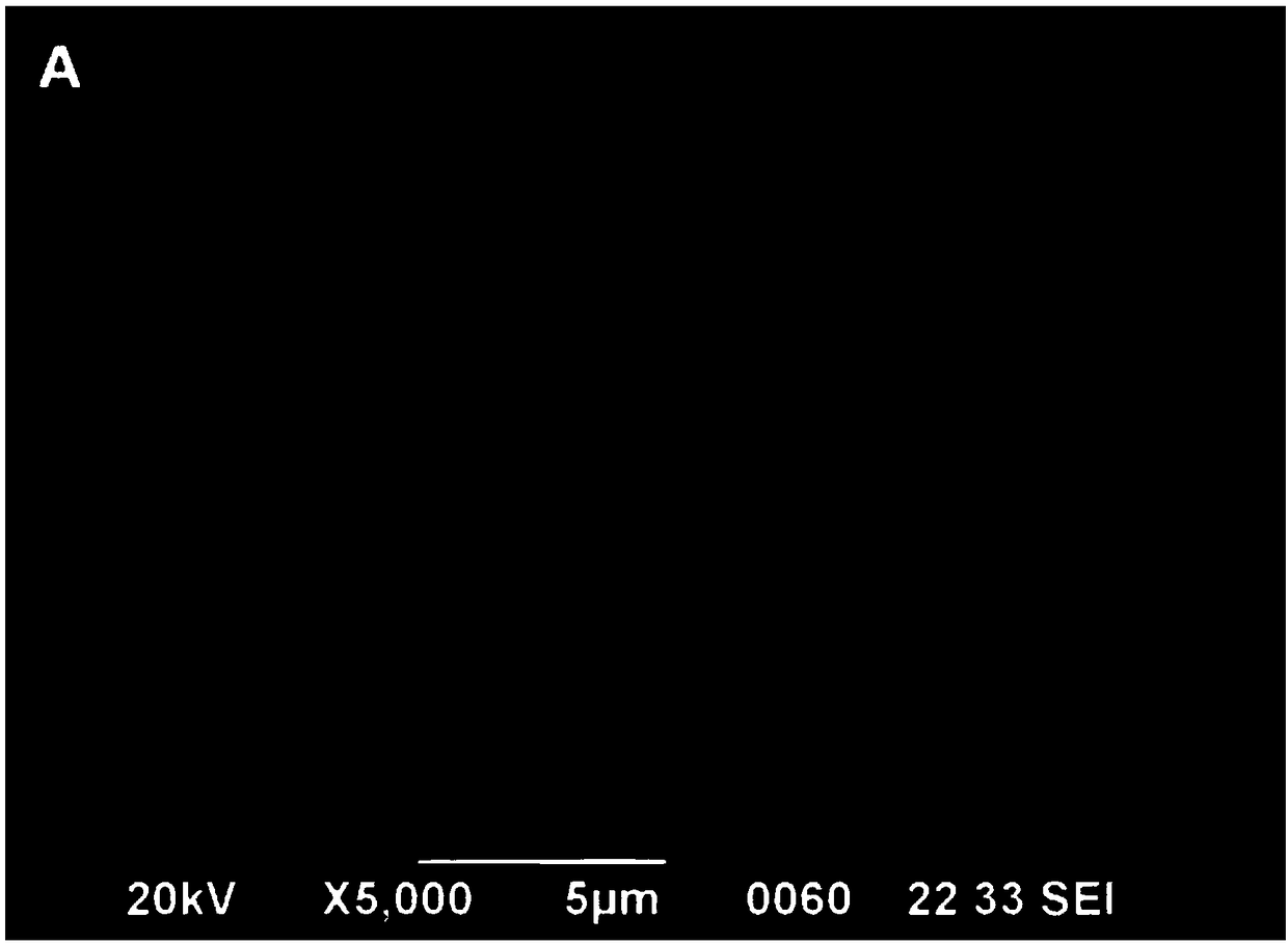 Environmentally friendly algaecide