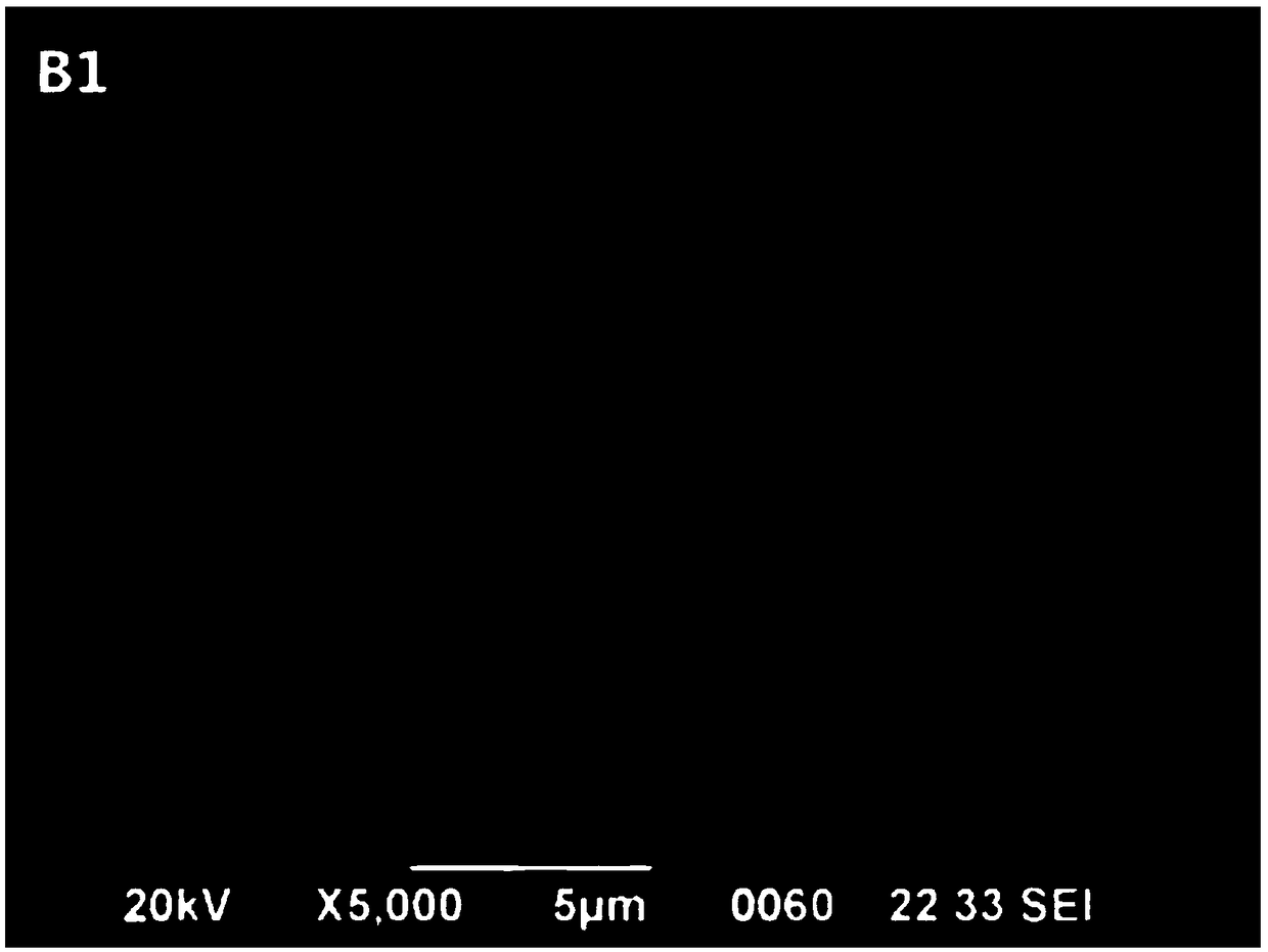 Environmentally friendly algaecide