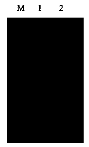 Preparing method for GI type norovirus virus-like particles and application thereof