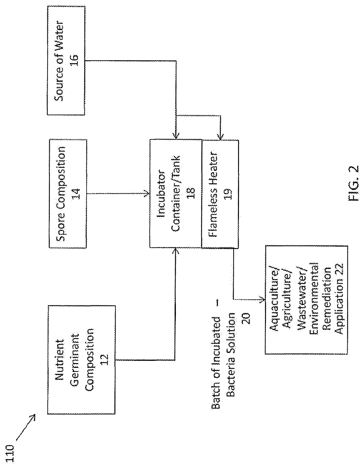 System, method, and composition for incubating spores for use in aquaculture, agriculture, wastewater, and environmental remediation applications