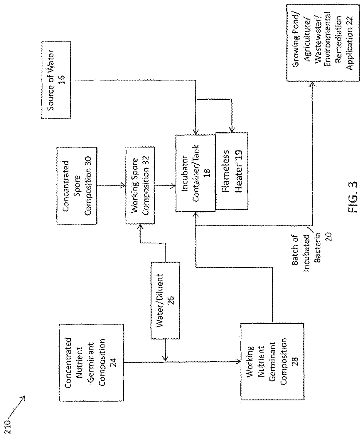 System, method, and composition for incubating spores for use in aquaculture, agriculture, wastewater, and environmental remediation applications