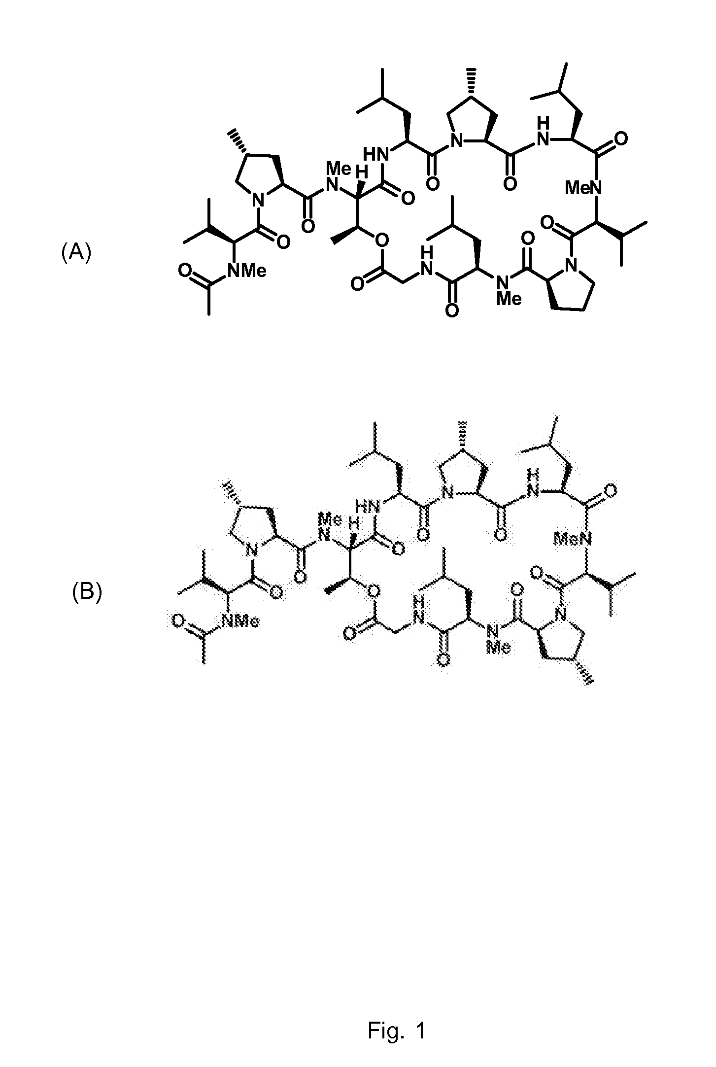 Gene cluster for biosynthesis of griselimycin and methylgriselimycin