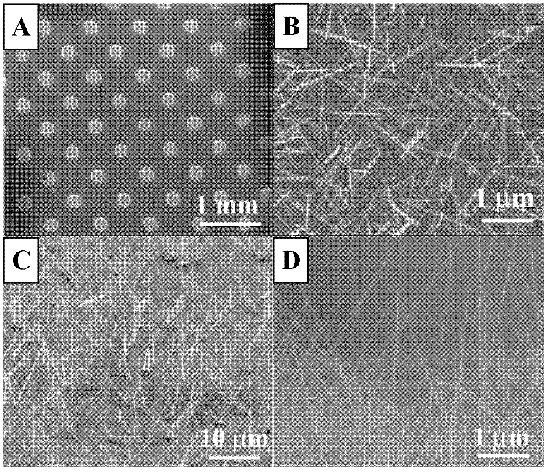 New method for synthesizing patterned single-crystal tungsten oxide nanowire arrays with catalyst localization technology