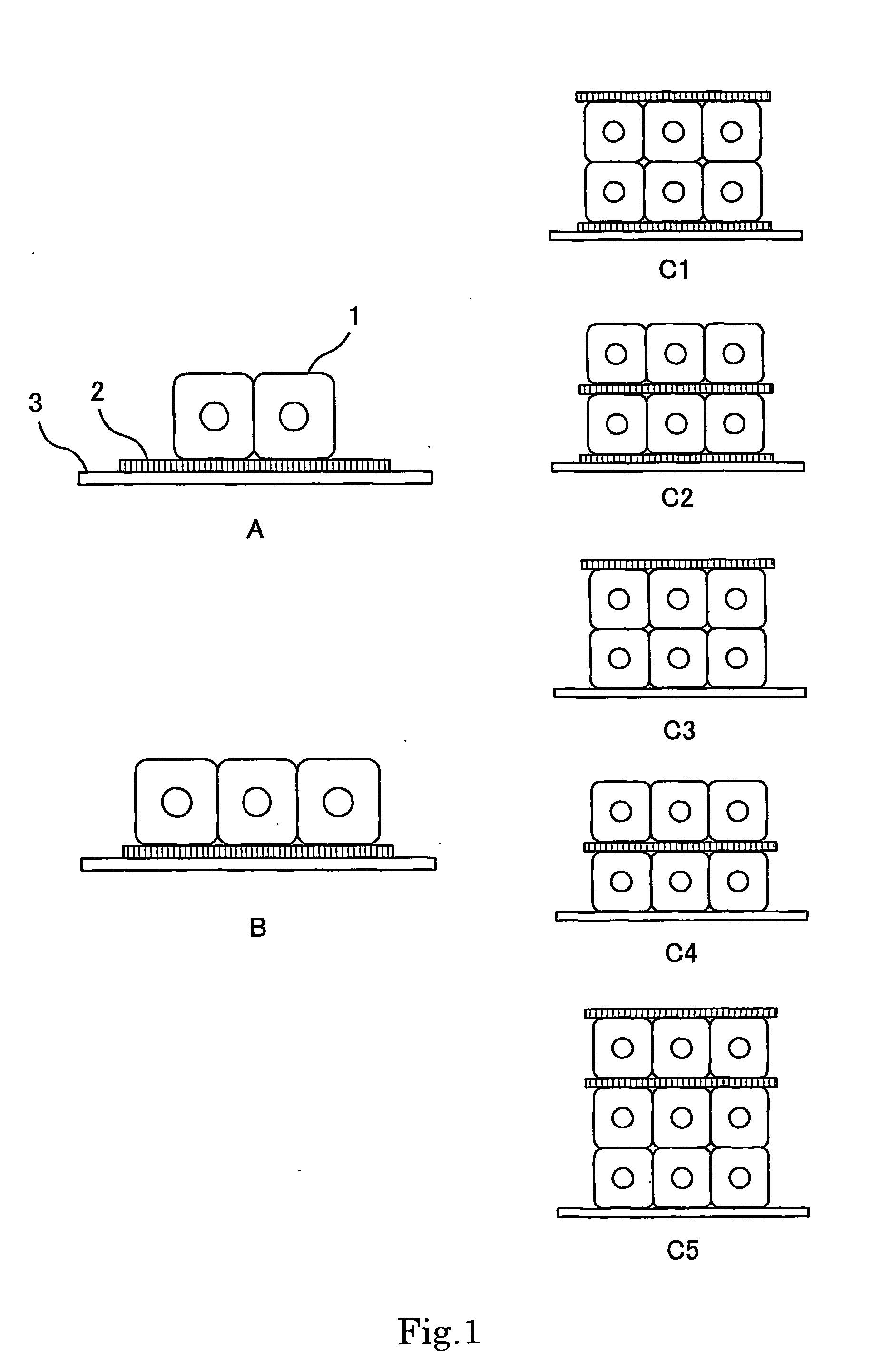 Cell Culture Method, Three-Dimensional Cell Culture Method, Three-Dimensional Tissue, Artificial Organ and Tissue Transplantation Method