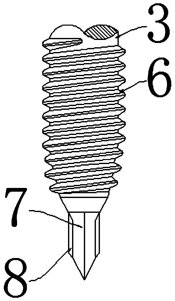 Self-tapping and self-locking bolt