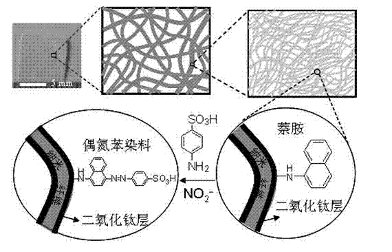 Preparation method of nitrite ion colorimetric sensing cellulose material