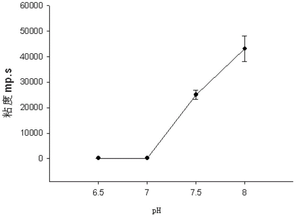 Method for preparing enzymic method modified whey protein soluble polymer