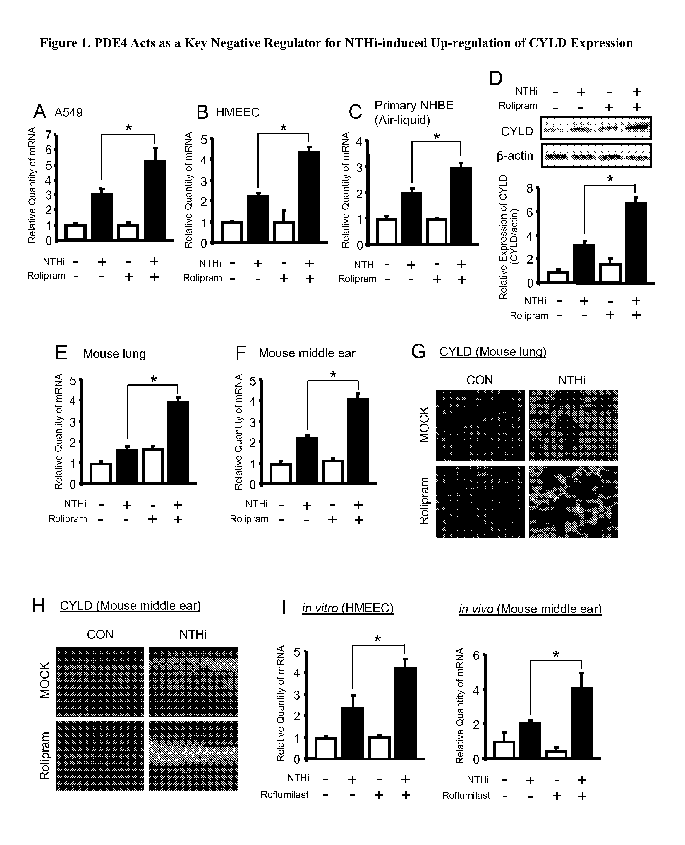 Compositions and methods for treating otitis media and other conditions with inhibitors of cyld