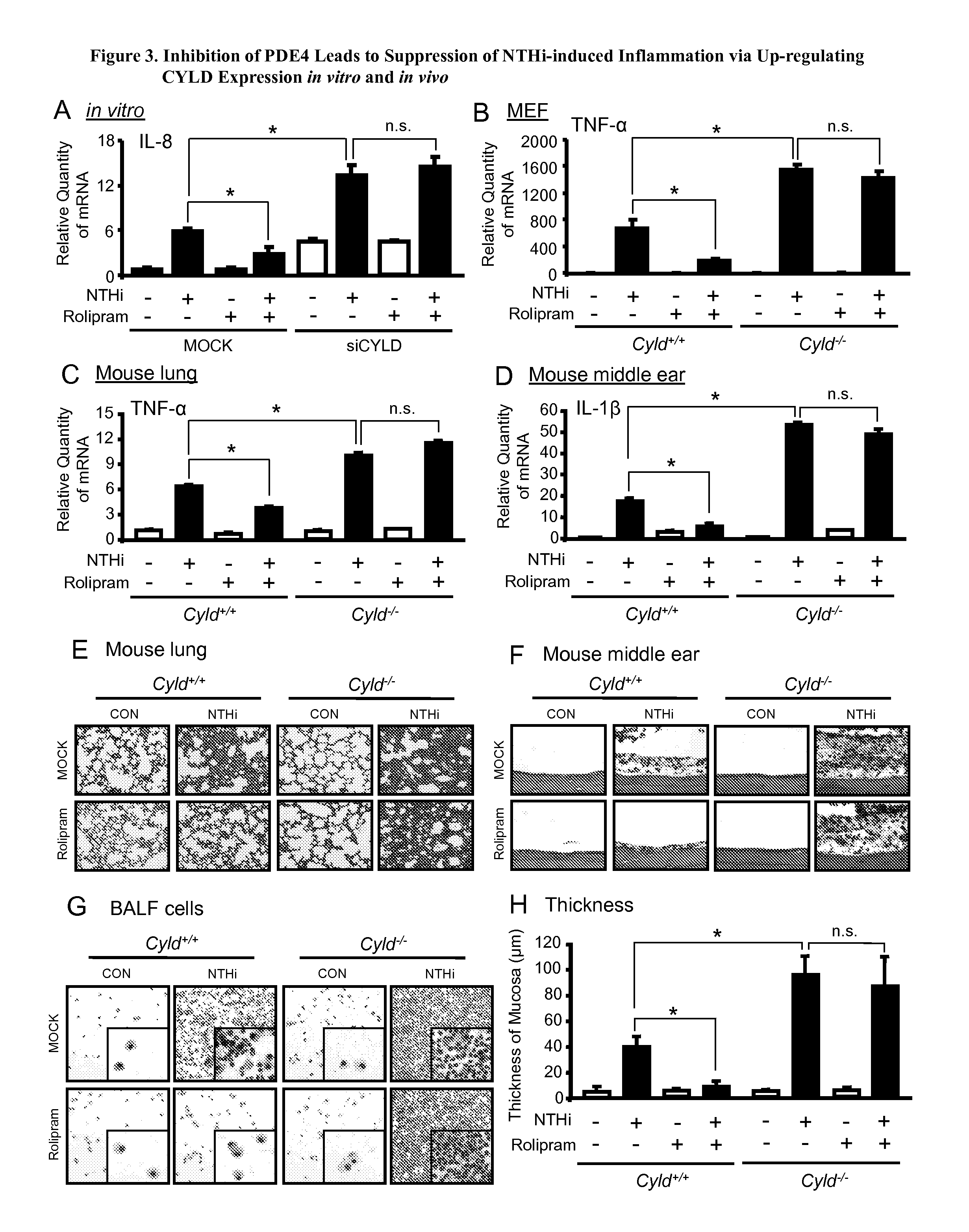 Compositions and methods for treating otitis media and other conditions with inhibitors of cyld