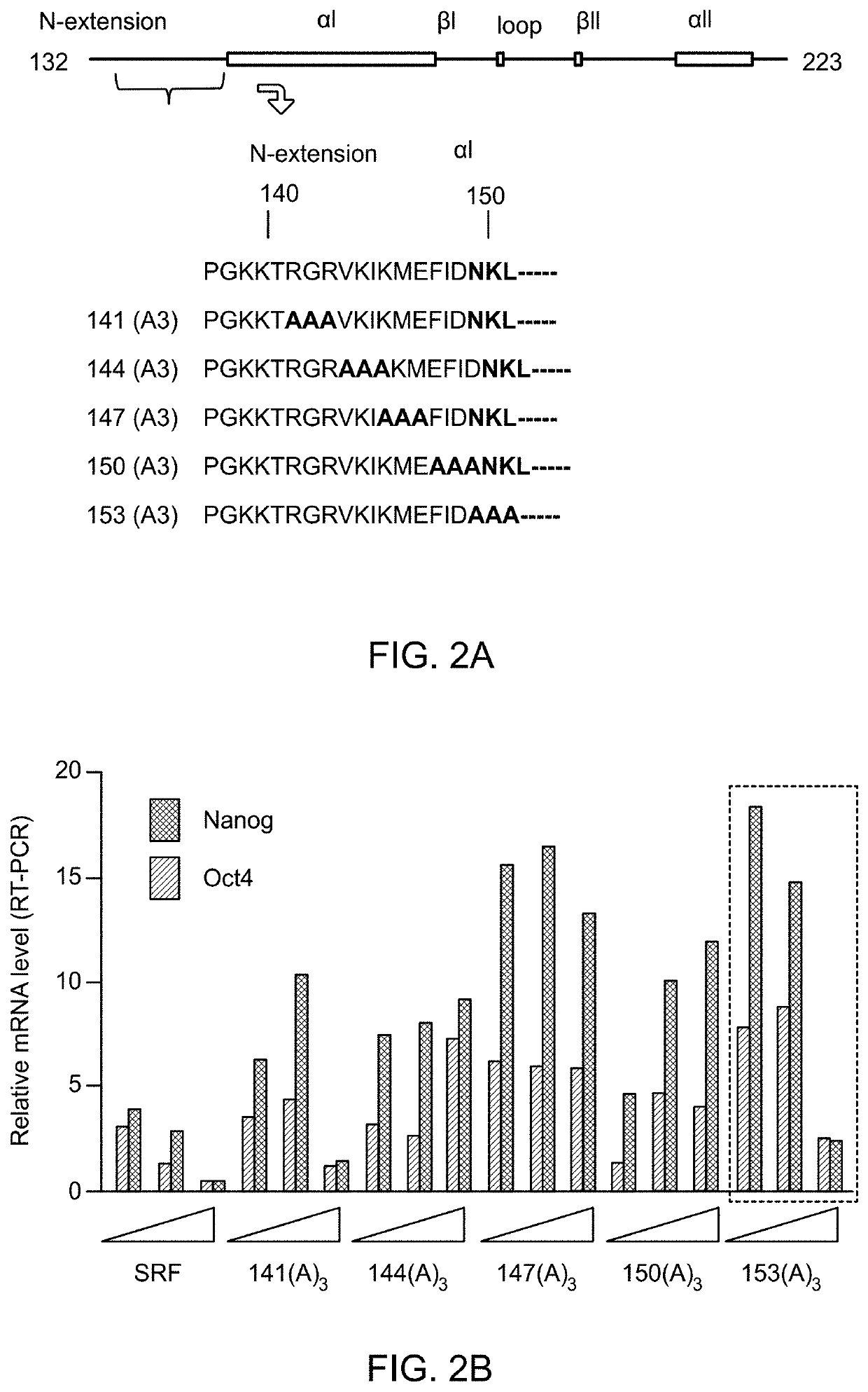 Enhanced cardiomyocyte regeneration