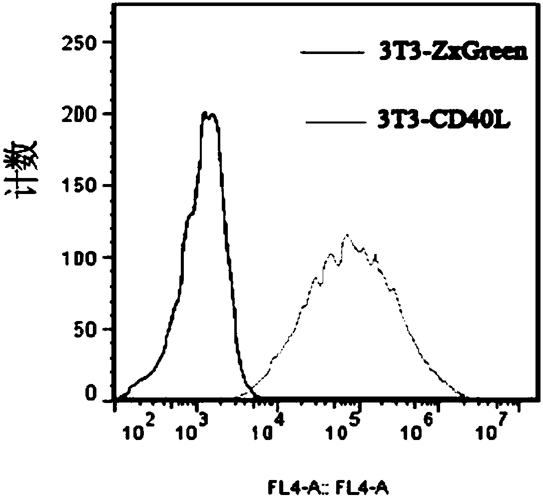 Anti-H7N9 whole-human monoclonal antibody 7T33 and preparation method therefor and application of anti-H7N9 whole-human monoclonal antibody 7T33