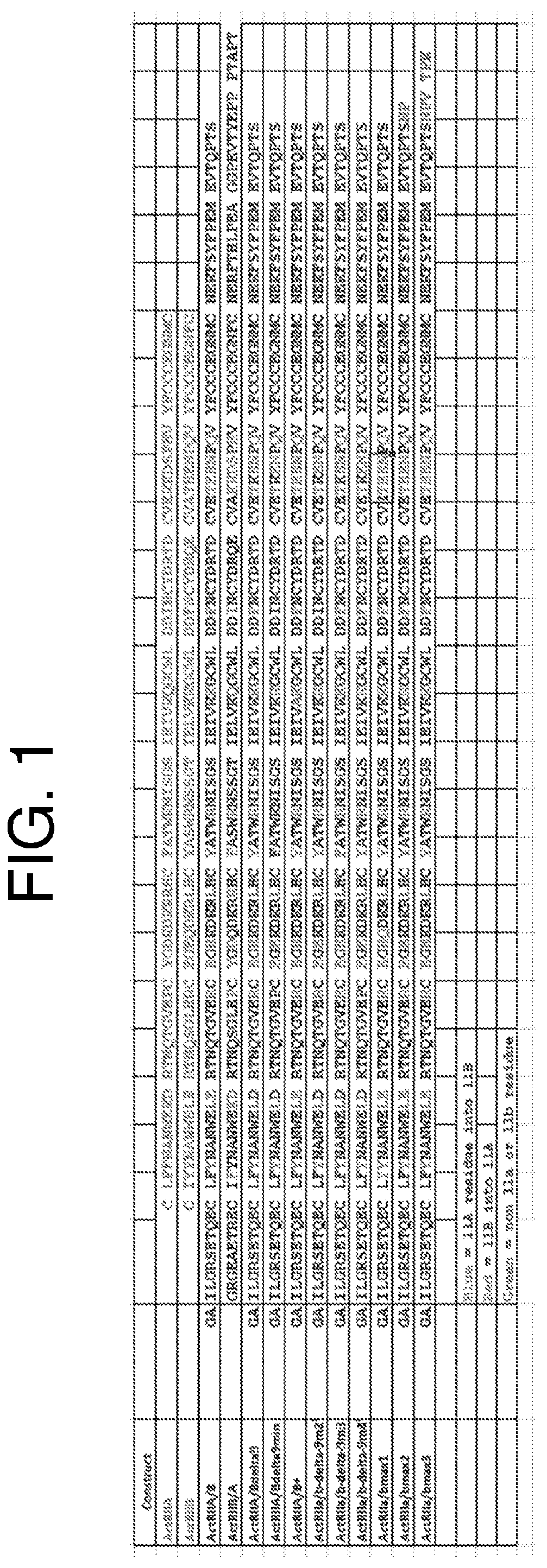 Activin receptor type iia variants and methods of use thereof