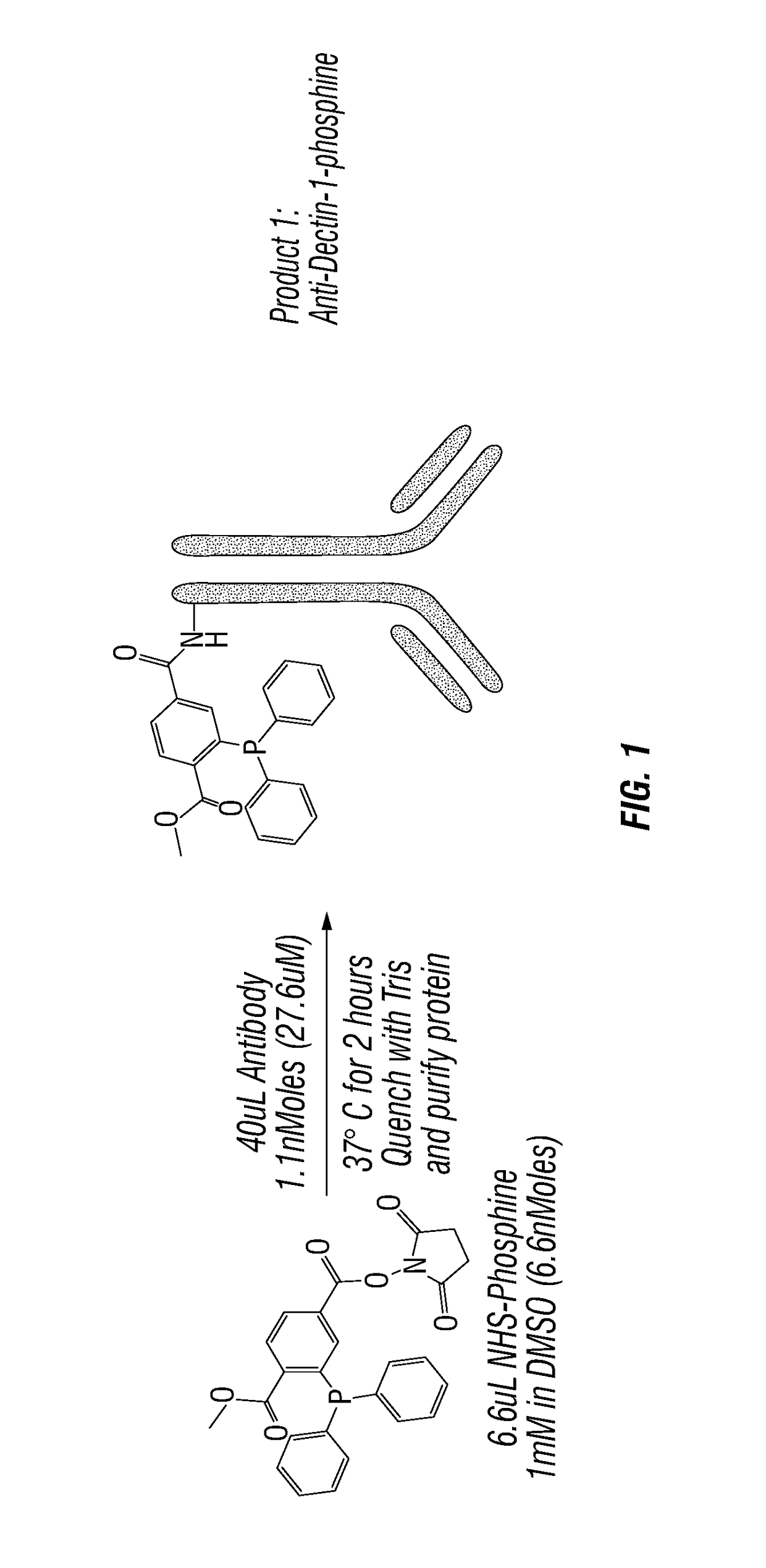 Methods and compositions for treating allergy and inflammatory diseases