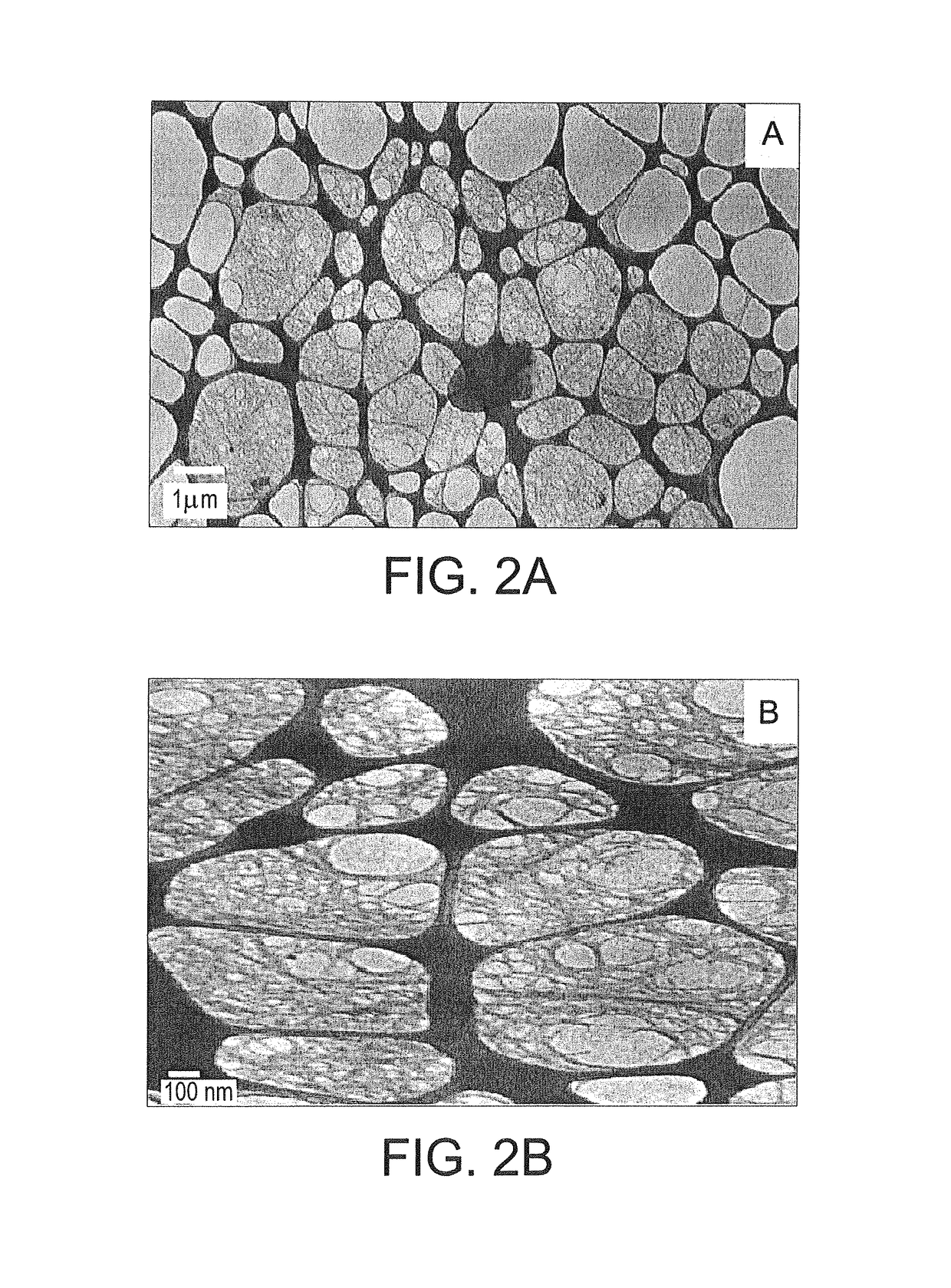 Method of fabricating biocompatible cellulose nanofibrils
