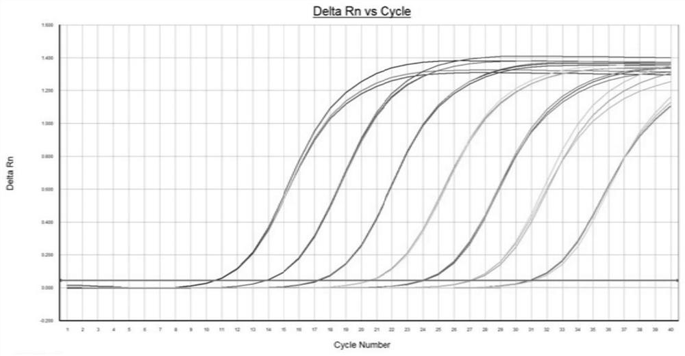 QPCR (quantitative polymerase chain reaction) method for rapidly quantifying copy number of E1A gene of adenovirus