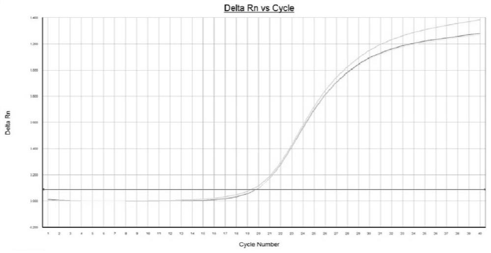 QPCR (quantitative polymerase chain reaction) method for rapidly quantifying copy number of E1A gene of adenovirus