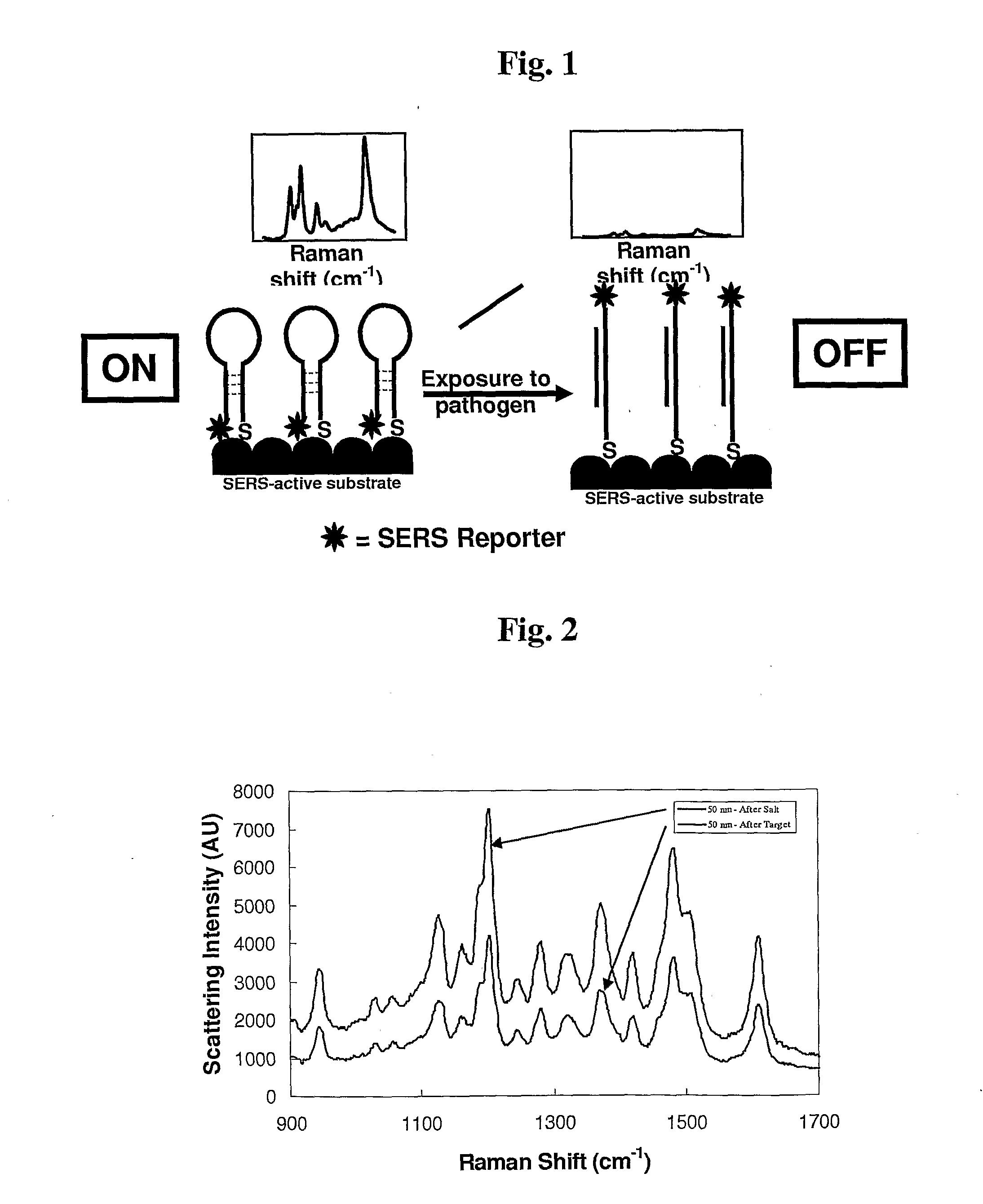 Sers-based methods for detection of bioagents