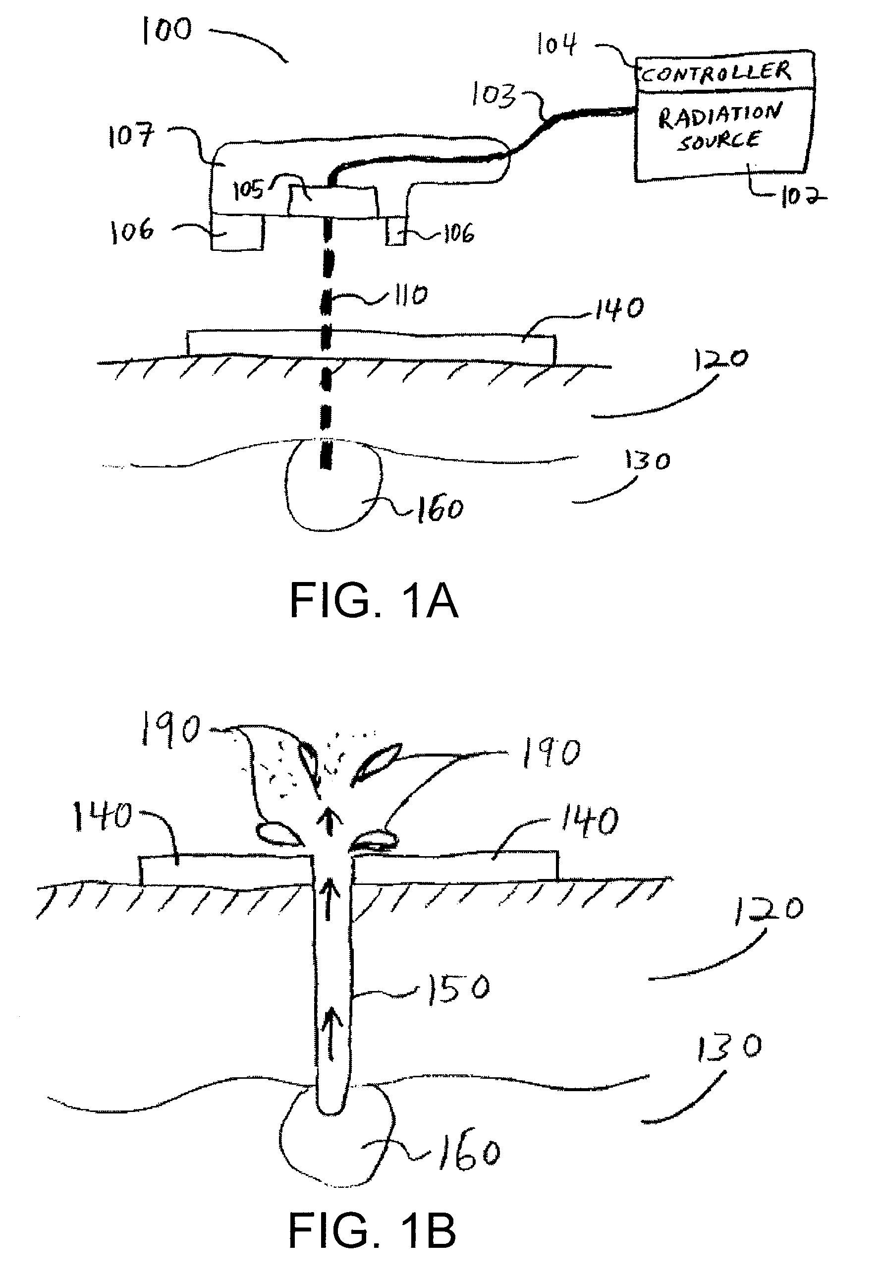 Apparatus and method for fat removal