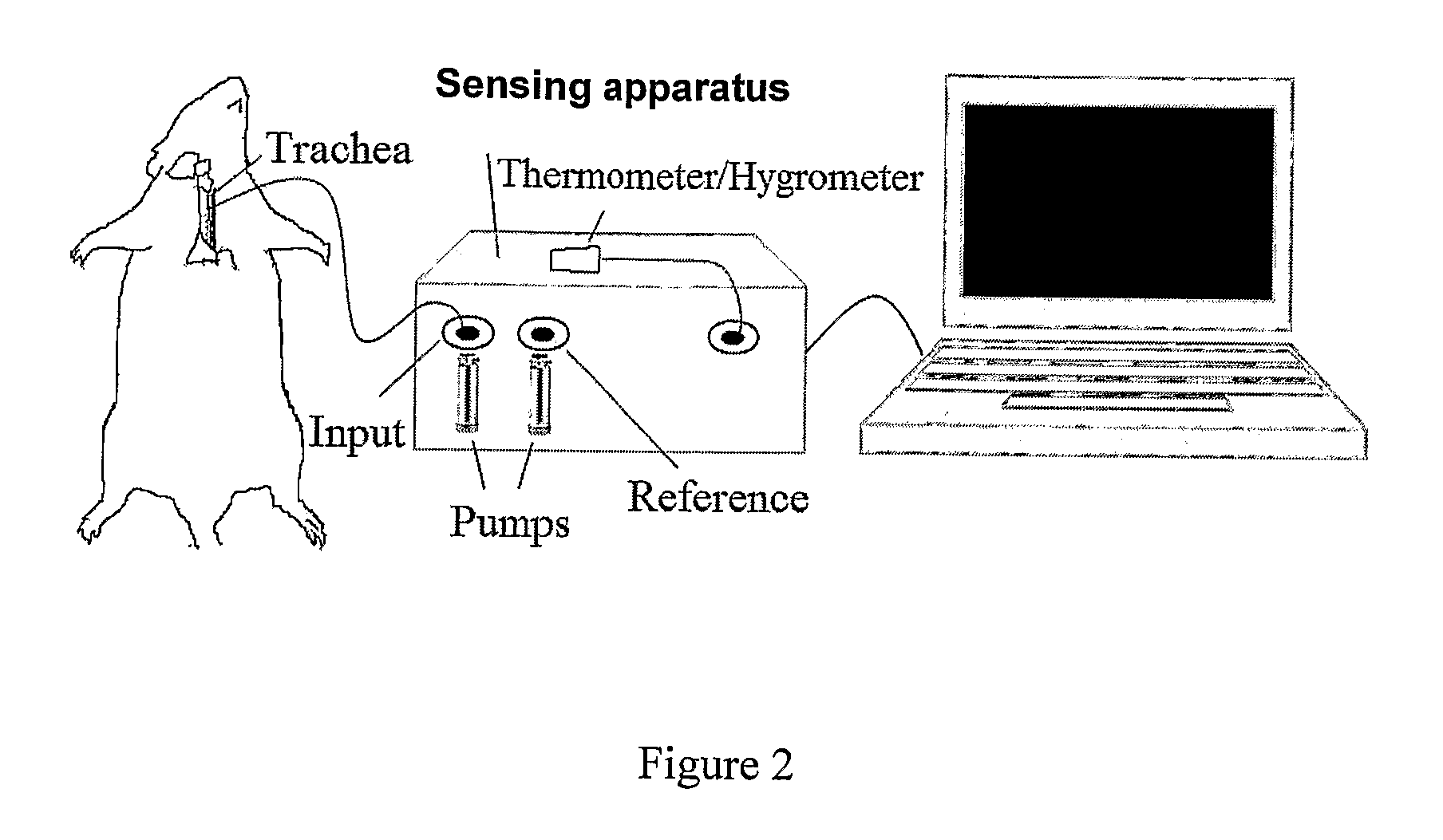 Apparatus and methods for diagnosing renal disorders