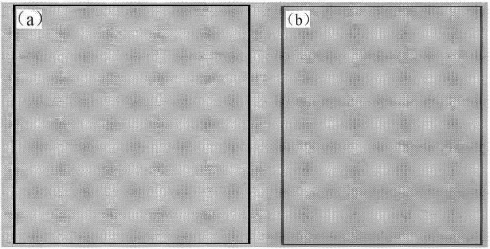 Modified insulation paper, preparation method and thereof and oil-immersed insulation paper dielectric body