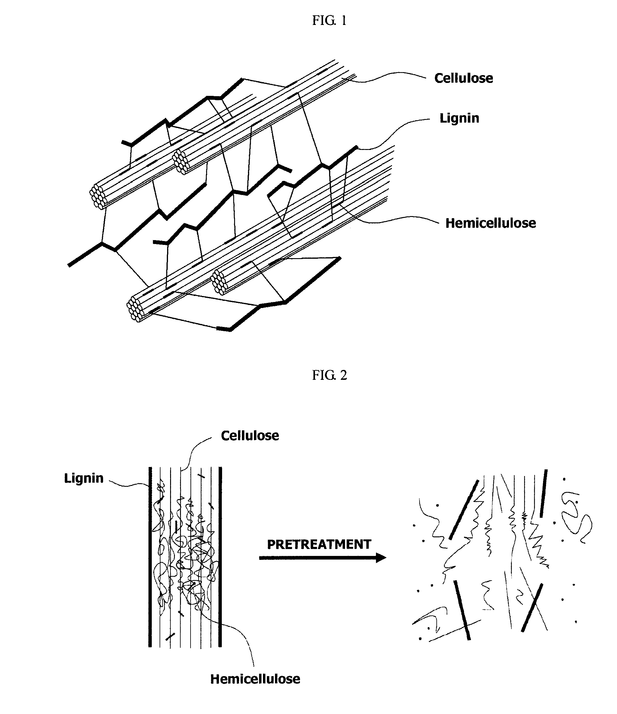 Method and apparatus for fractionating lignocellulose-based biomass