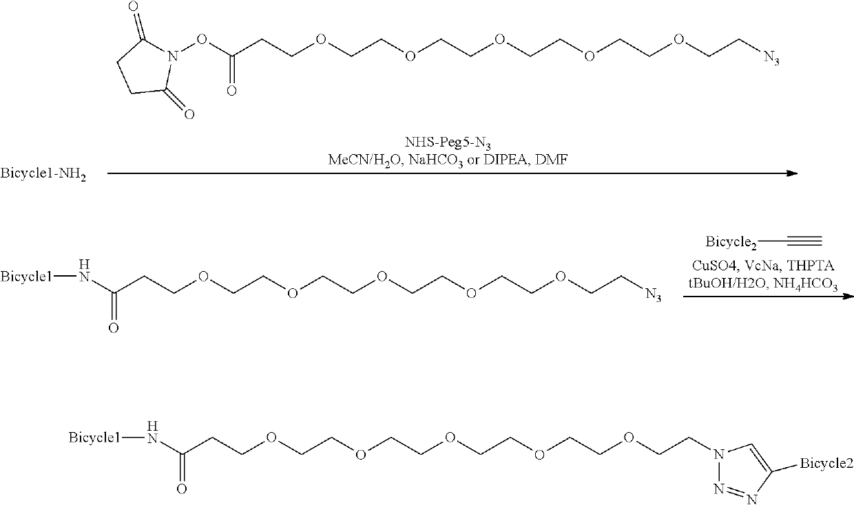 Heterotandem bicyclic peptide complexes