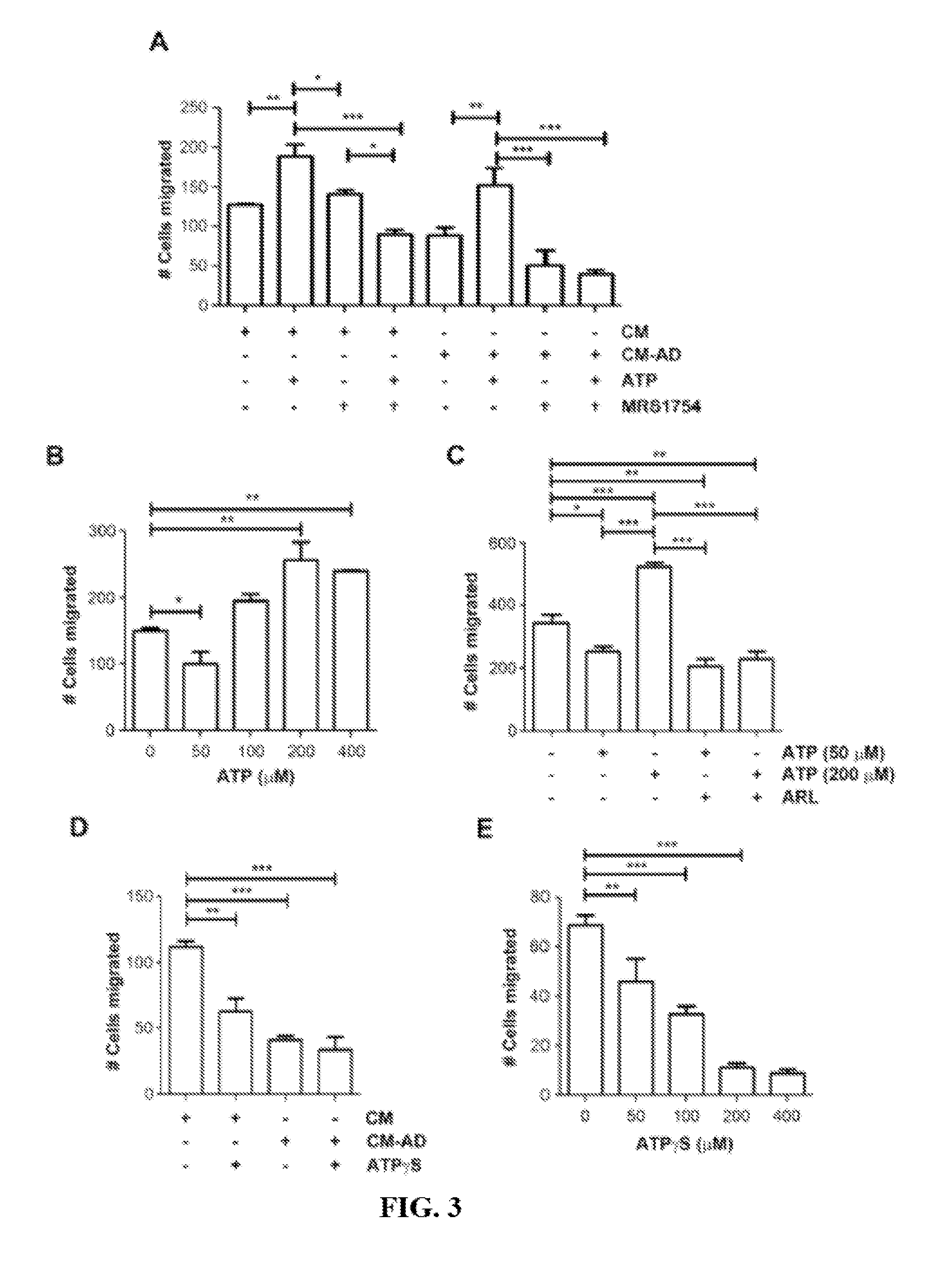 Methods for treatment of primary cancer and cancer metastasis