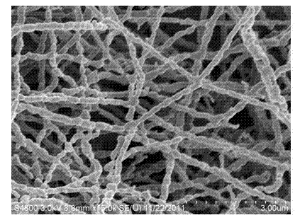 CaCu3Ti4O12 micro nano sized fiber and its preparation method