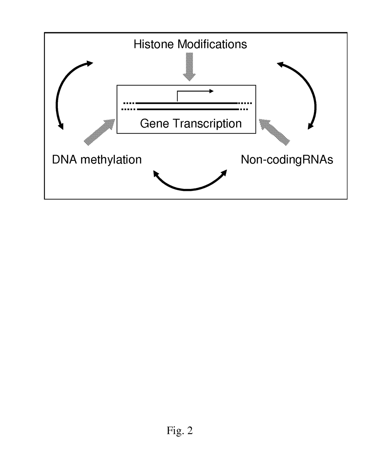 Targeted transposition for use in epigenetic studies