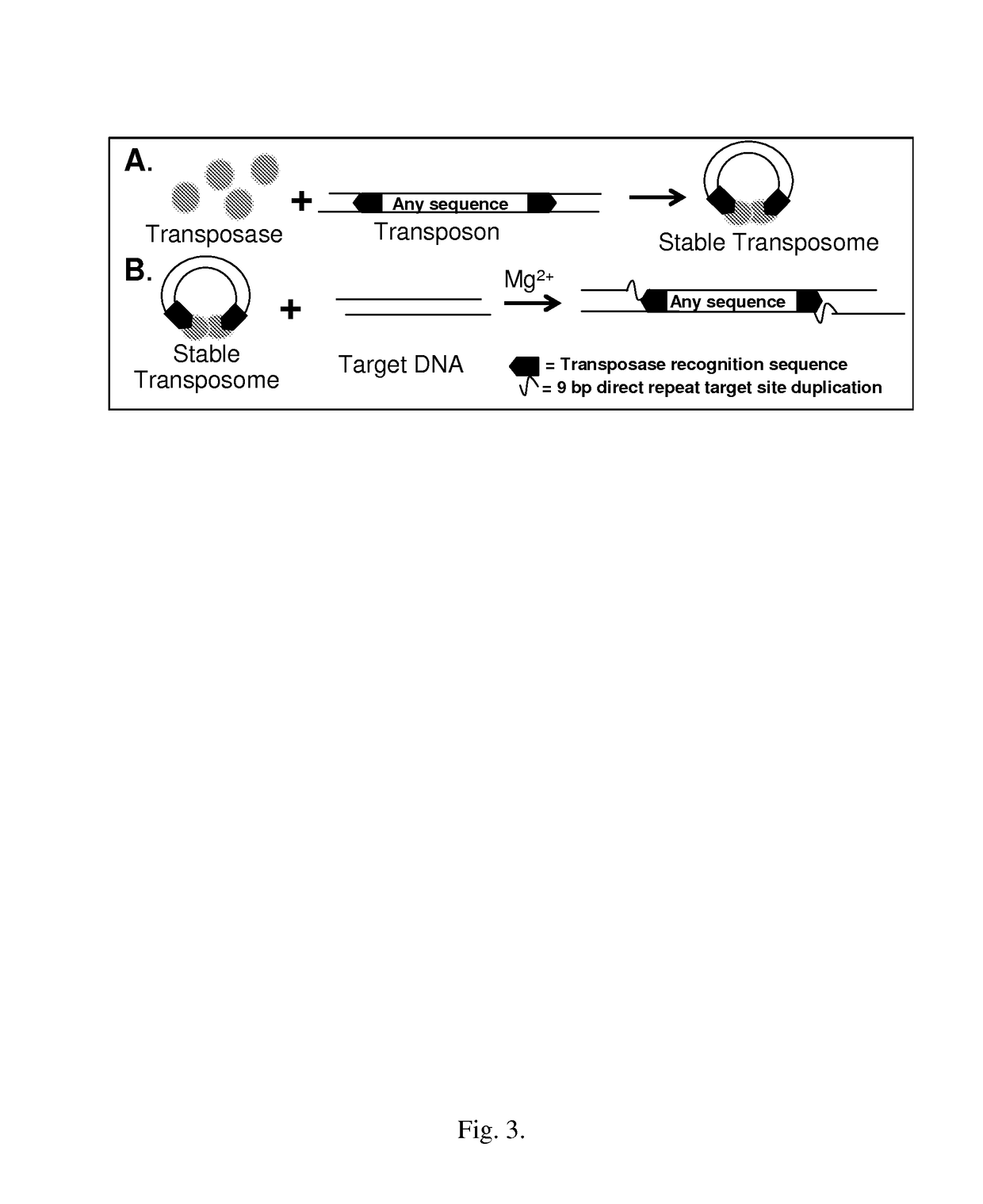 Targeted transposition for use in epigenetic studies