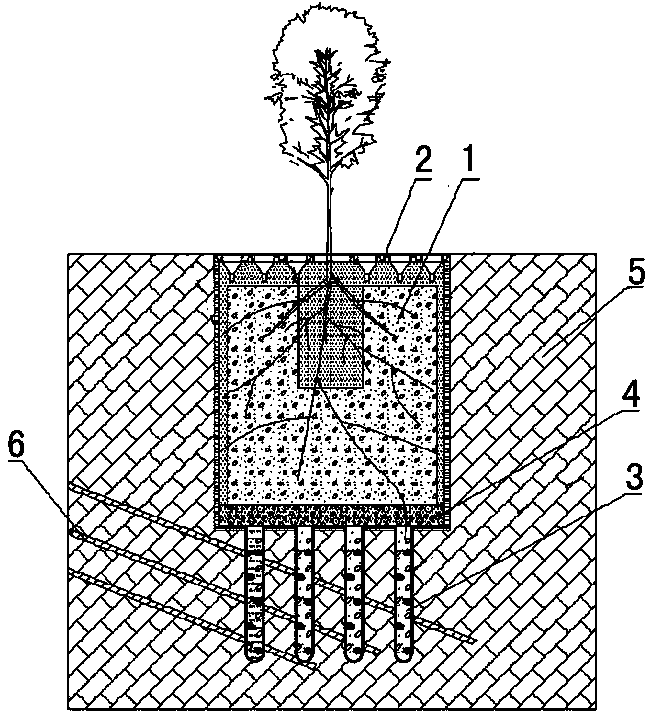 Arbor planting device and preparation and planting method in rocky desertification area