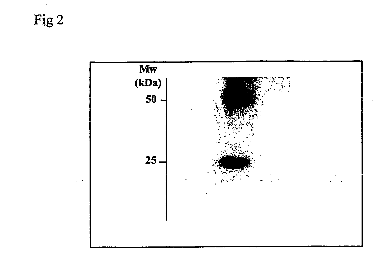 Rapid Determination of Hepatocyte Growth Factor (Hgf) in the Body Fluids