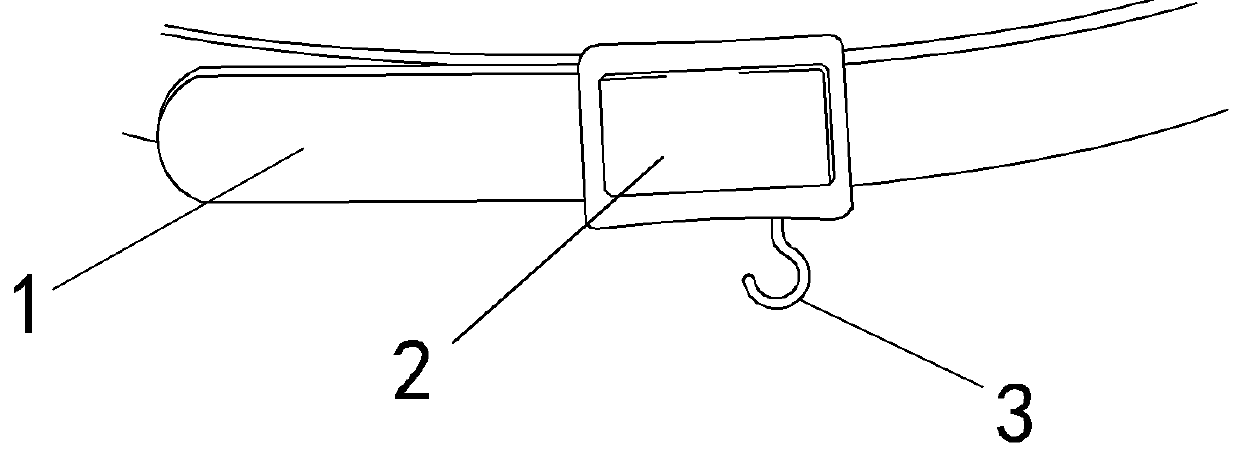 Belt buckle with electronic scale