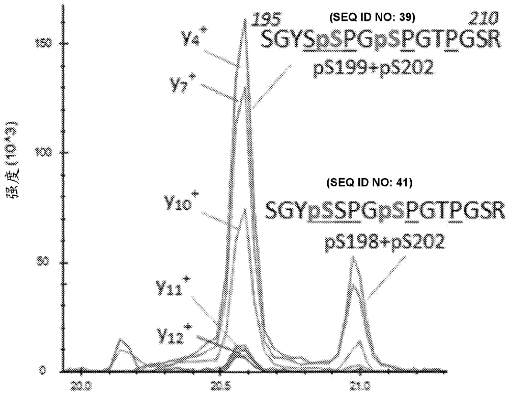 Blood-based assays for site-specific tau phosphorylation-based diagnostics and therapies