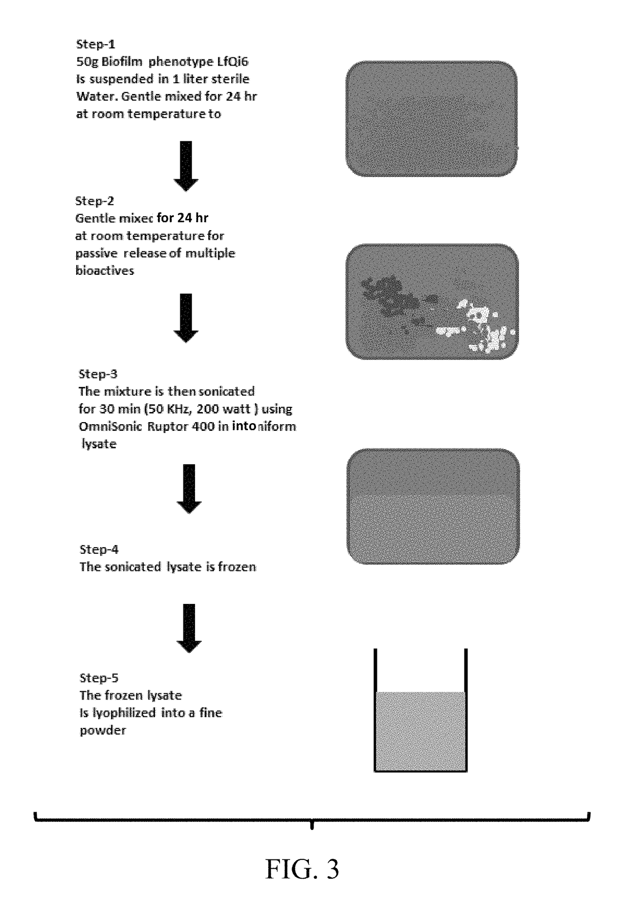 Materials and methods for improving immune responses and skin and/or mucosal barrier functions