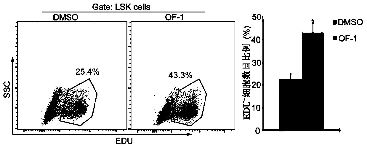 Medicine for promoting hematopoietic stem cell expansion, and application thereof