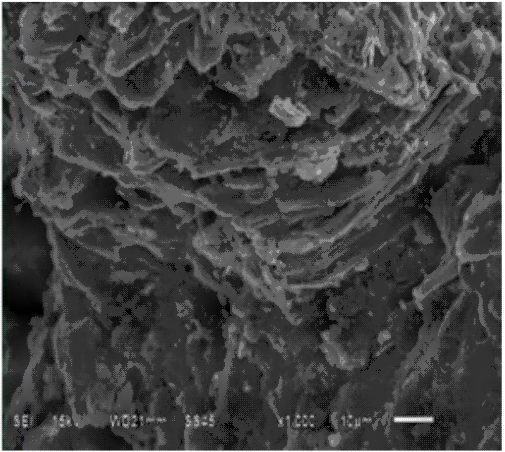 Preparation method of waste and old zinc-manganese battery-biomass adsorbent