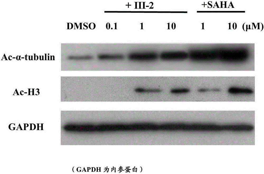 Histone deacetylase inhibitor, and preparation method and application thereof