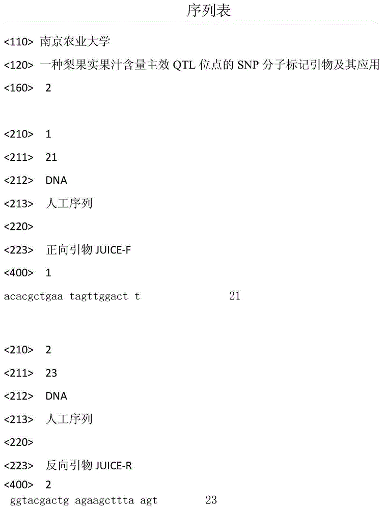 A kind of SNP molecular marker primer of main effect qtl site of pear fruit juice content and its application