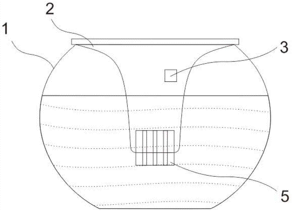 Hydroponic plant container