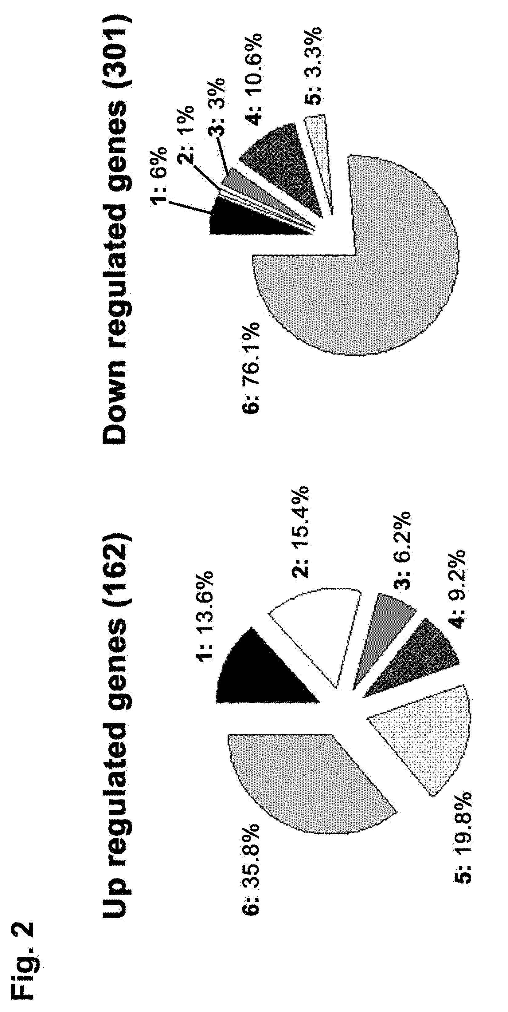 Medicament, compositions, and substances for treating and identifying adenocarcinoma of the lung