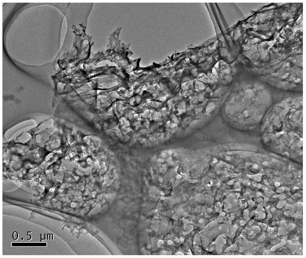 A three-dimensional macroscopic porous graphite phase carbon nitride photocatalyst and its preparation and application